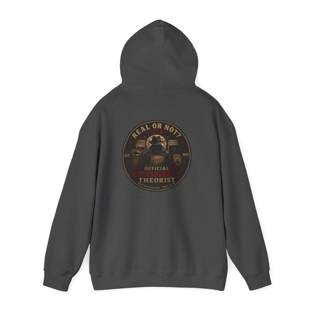 Conspiracy Theorist Hoodie