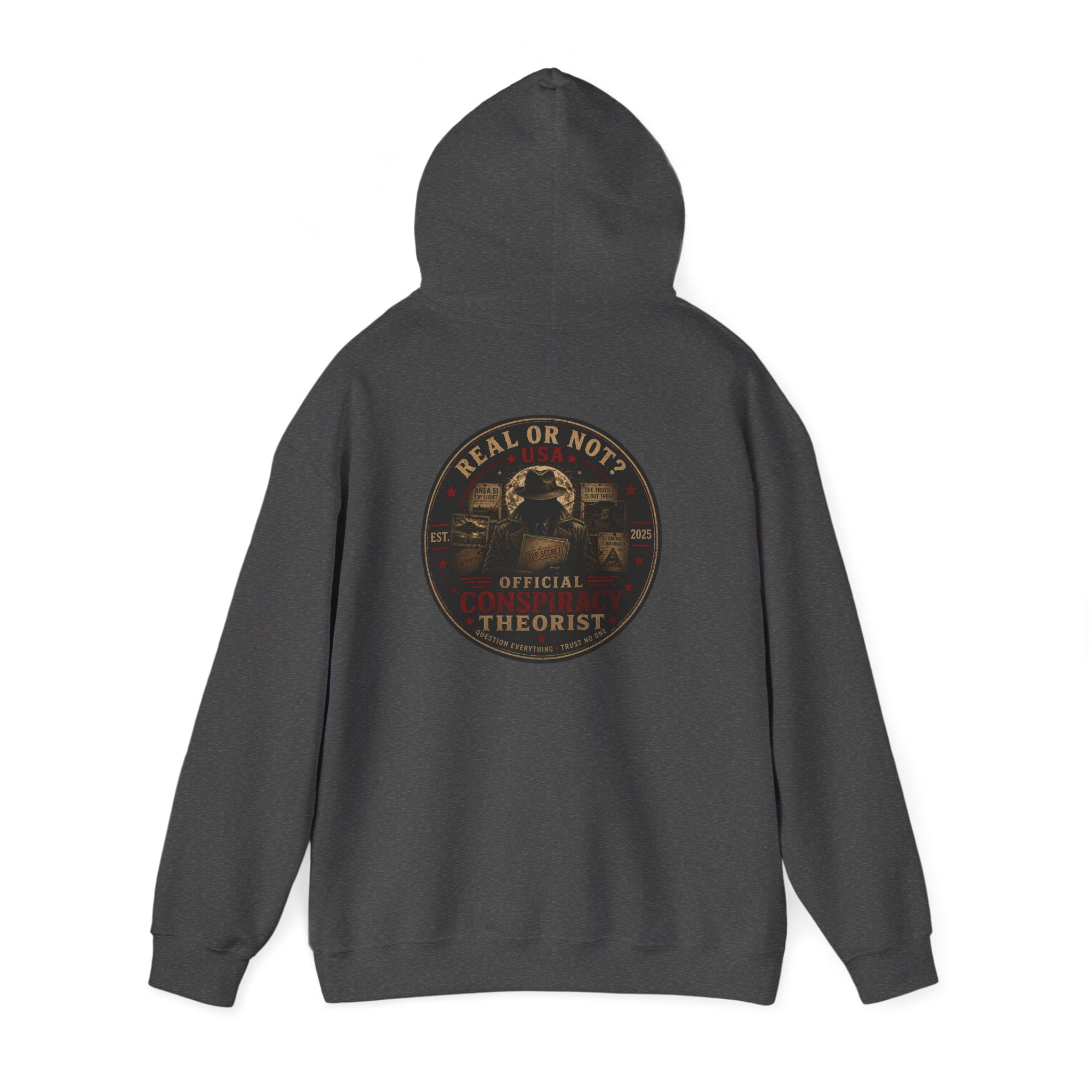 Conspiracy Theorist Hoodie