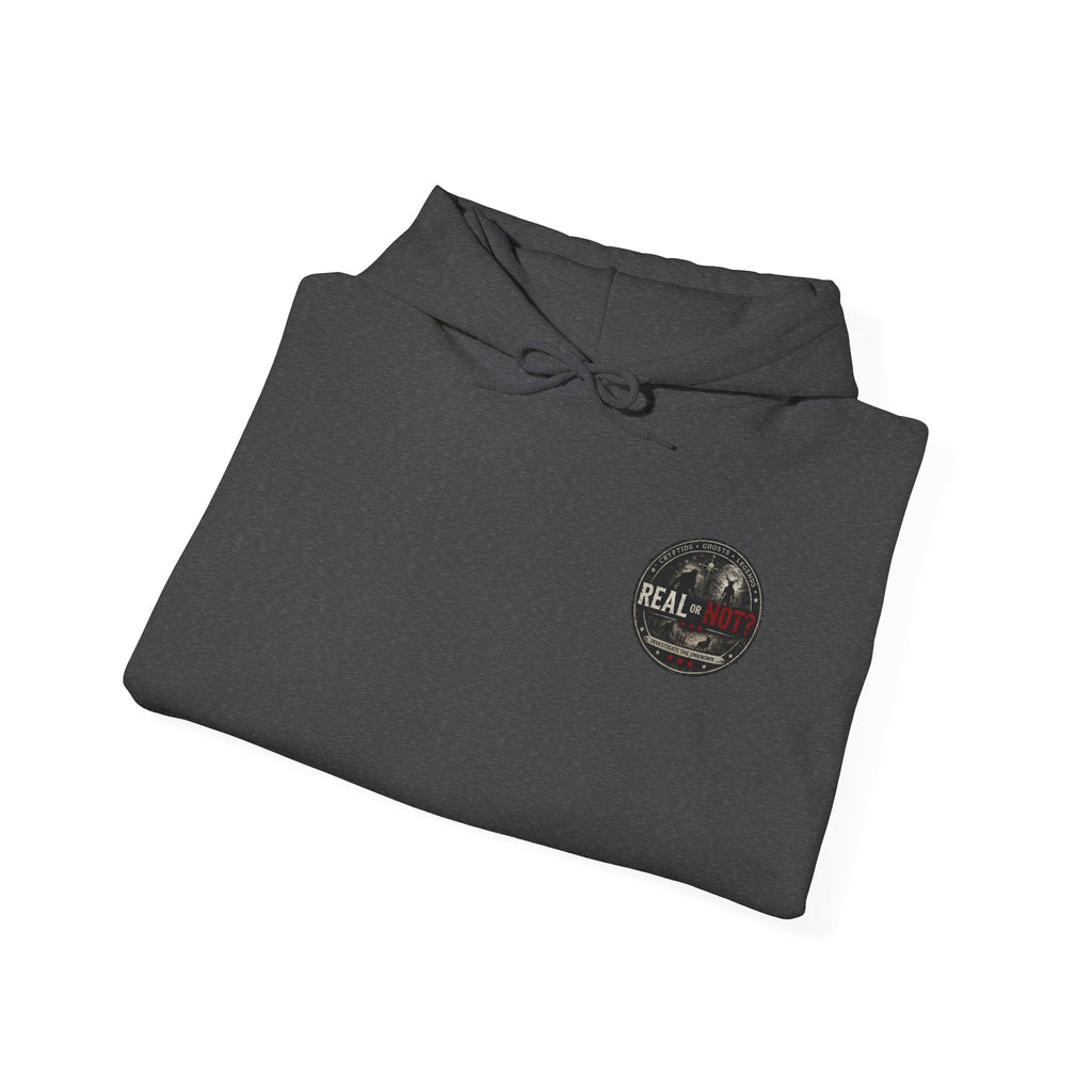 Official Real or Not? USA Hooded Sweatshirt