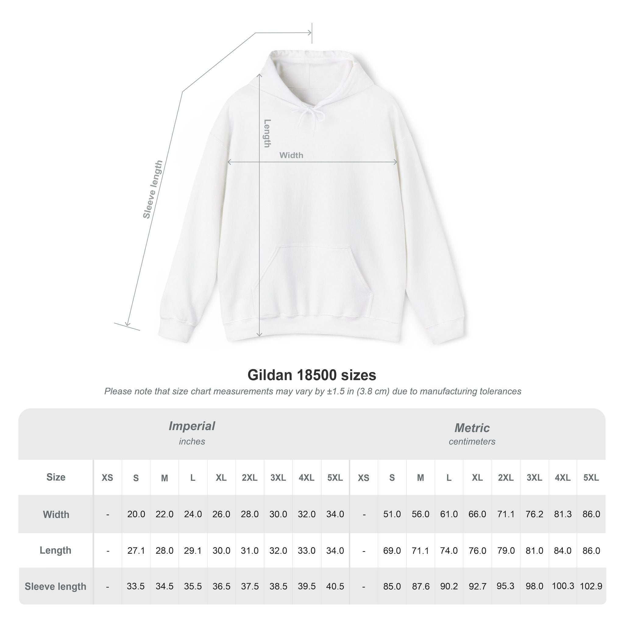 Conspiracy Theorist Hoodie