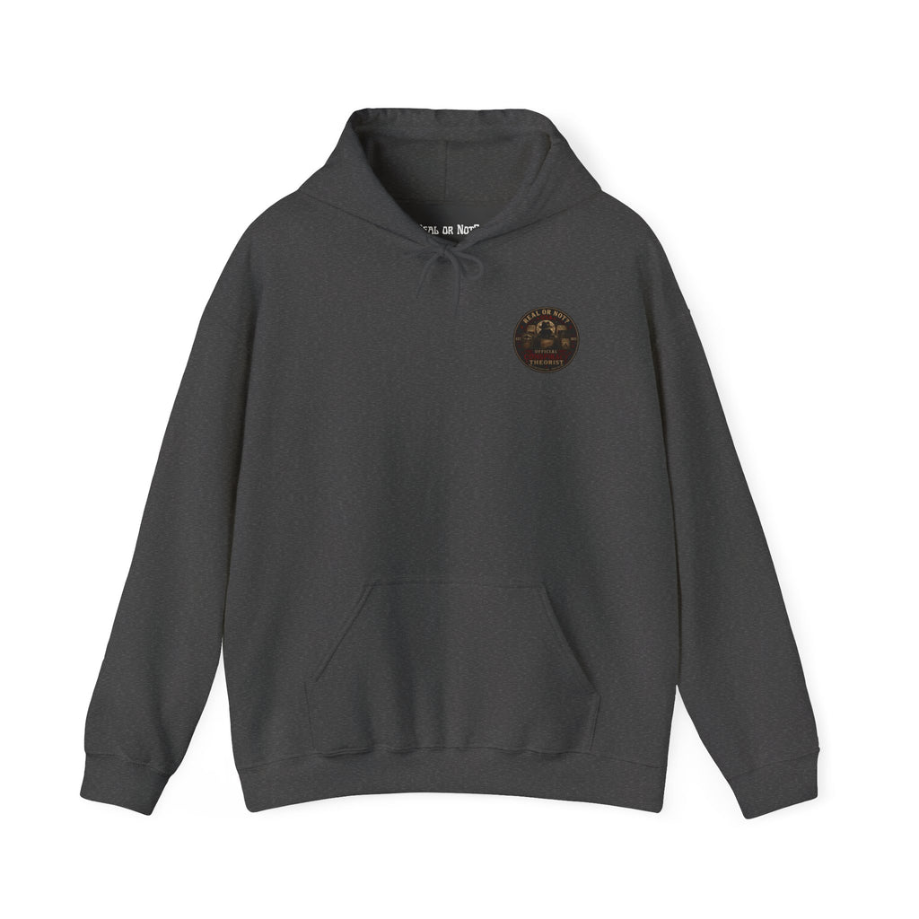 Conspiracy Theorist Hoodie
