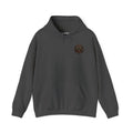 Conspiracy Theorist Hoodie