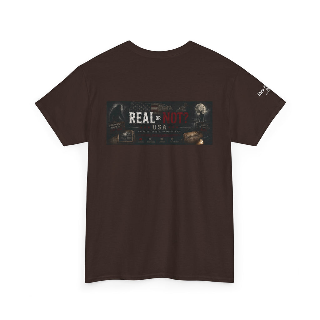 Official Real or Not? USA Vintage Graphic T-Shirt