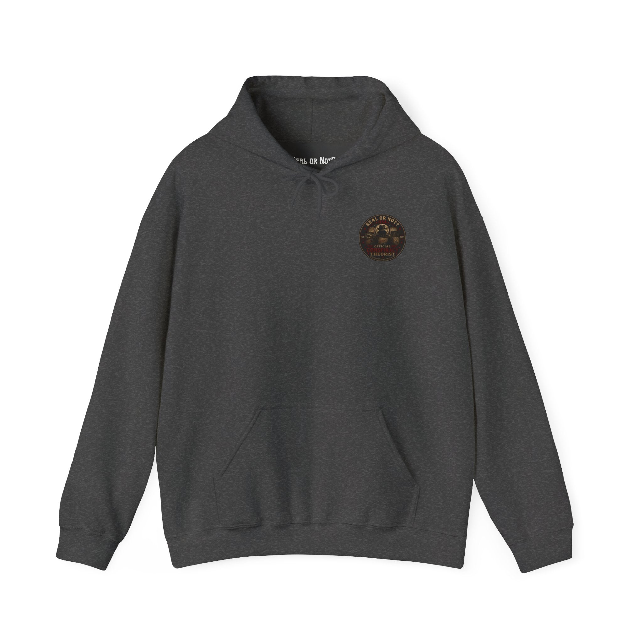 Conspiracy Theorist Hoodie