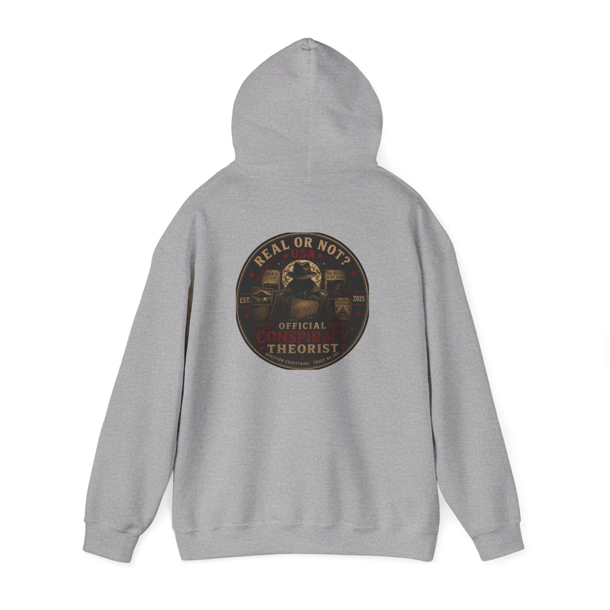 Conspiracy Theorist Hoodie