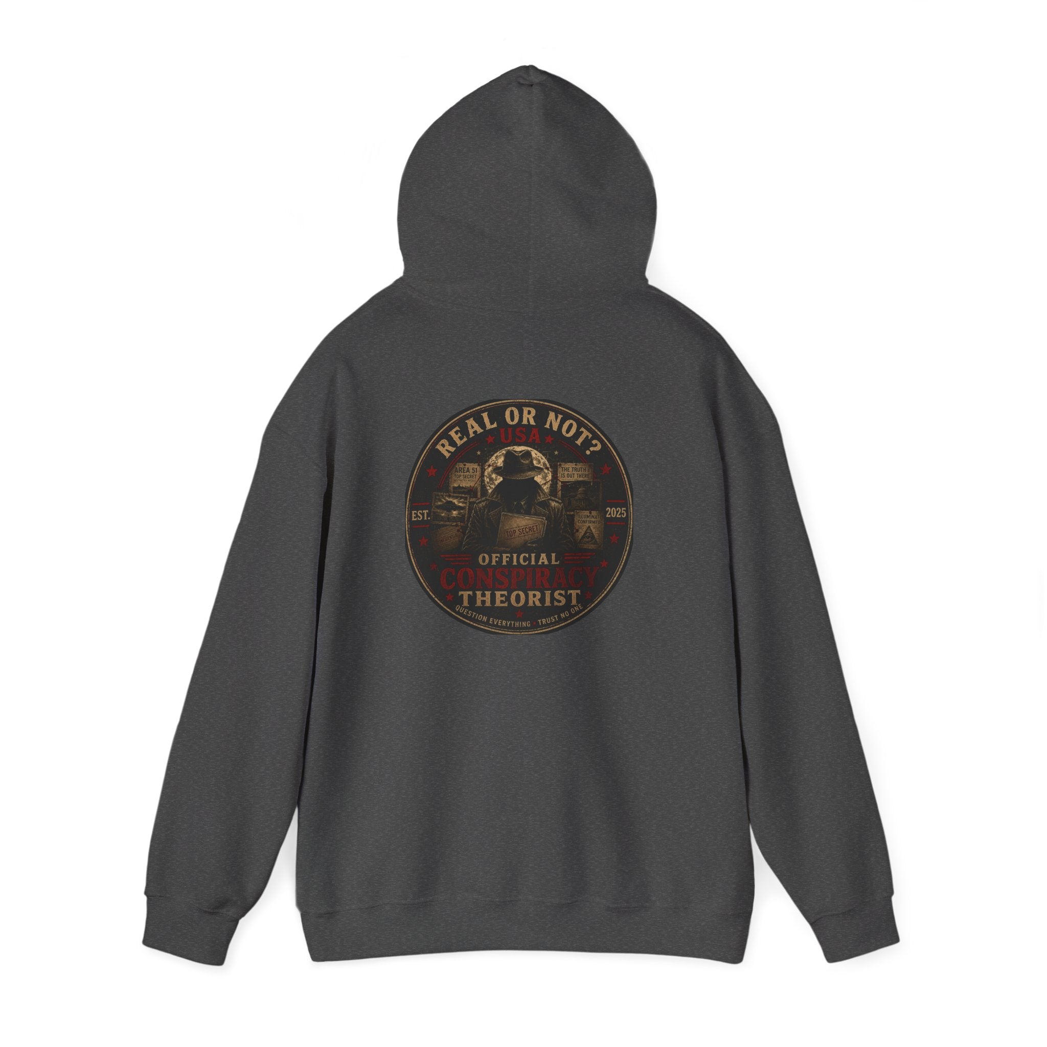Conspiracy Theorist Hoodie